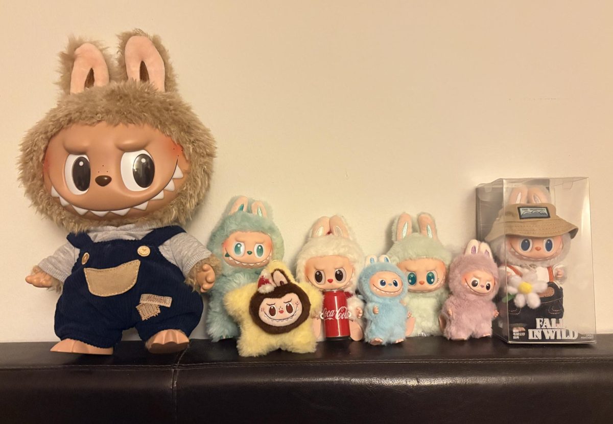 Labubu collectibles lined up on a shelf, reflecting the financial and cultural costs of trend-driven consumerism.
