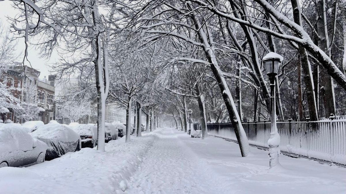 A quiet midwinter day in Brooklyn taken by Maya Binder